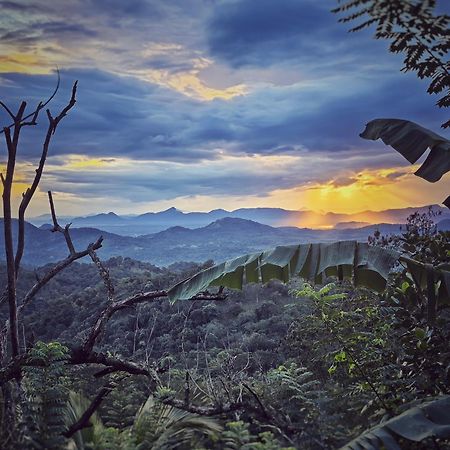 Eagle View Villa เอลลา ภายนอก รูปภาพ